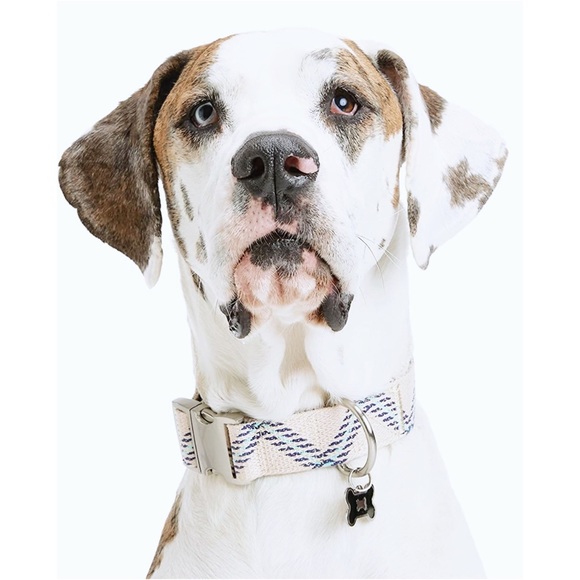 NWOT Youly Zig Zag Large/XL Dog Collar w/Aluminum Clasp | 16-26” Adj. Range - Picture 9 of 16